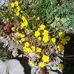 Cadorna Bed & Breakfast Veleso