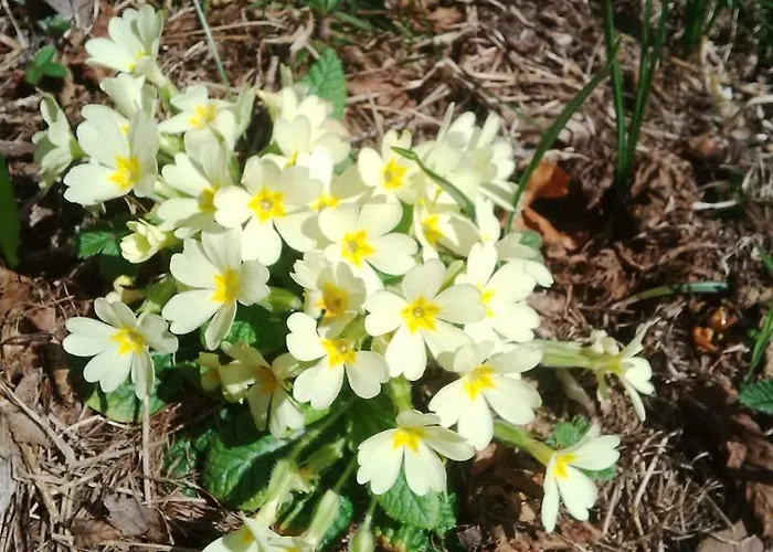 Cadorna Bed and Breakfast